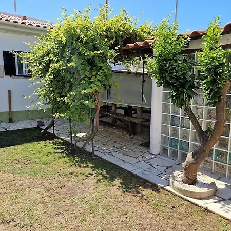 Дом отдыха Vine Garden *